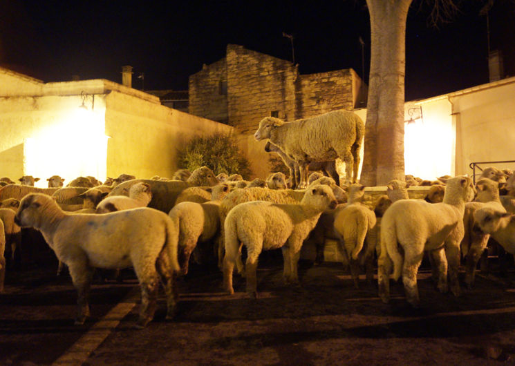 Noel d'Antan - Photo Mairie Aimargues