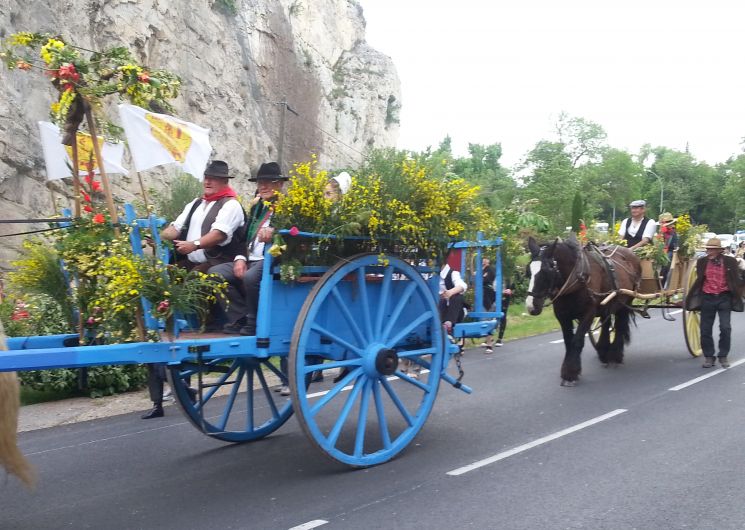 Fête de la Saint-Marc : fête traditionnelle de la vigne et du vin_Villeneuve-lez-Avignon