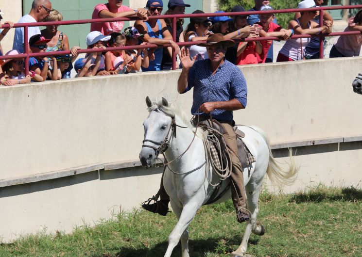 Matinée camarguaise