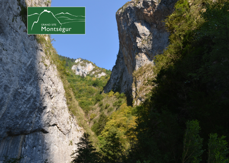 Gorges de la Frau, le basqui et les fleurs de lys