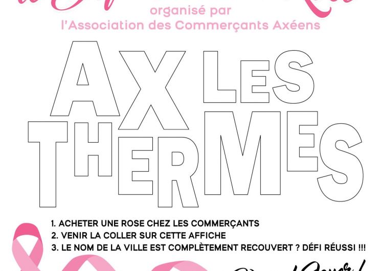 Le Défi