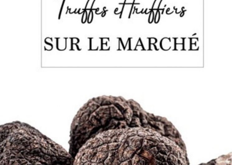 Truffes et truffiers sur le marché de Lavaur_Lavaur