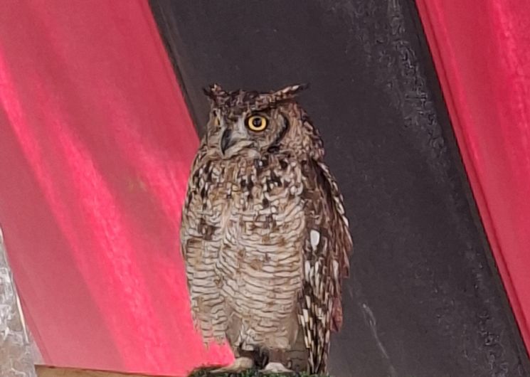 Fête médiévale d'Aiguèze_Aiguèze
