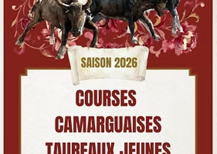Course Camarguaise de taureaux jeunes_Le Grau-du-Roi