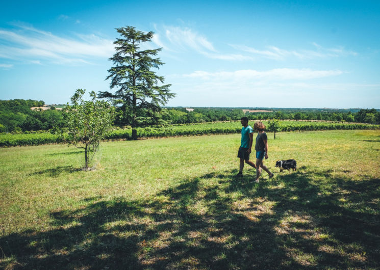 Visite Domaine Gayrard