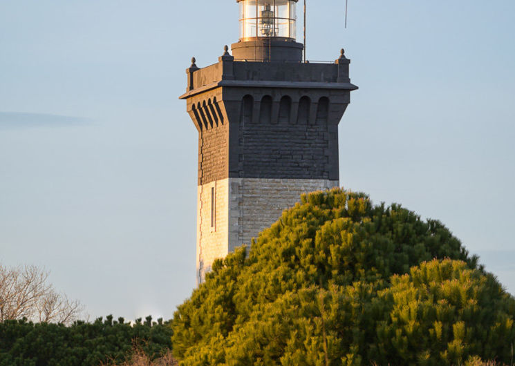 phare Espiguette