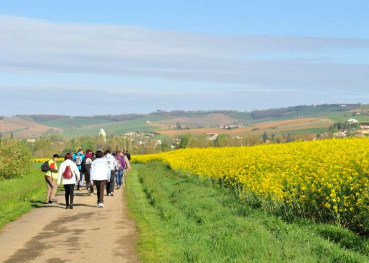 Randonnée pédestre_Maubec