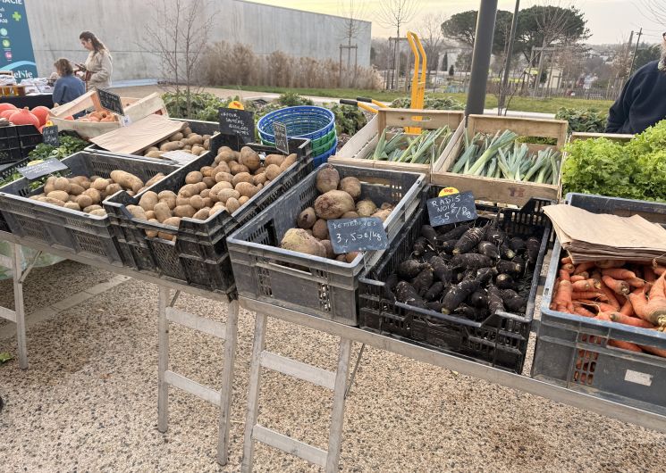 Marché bio du mercredi après-midi - Auch_Auch