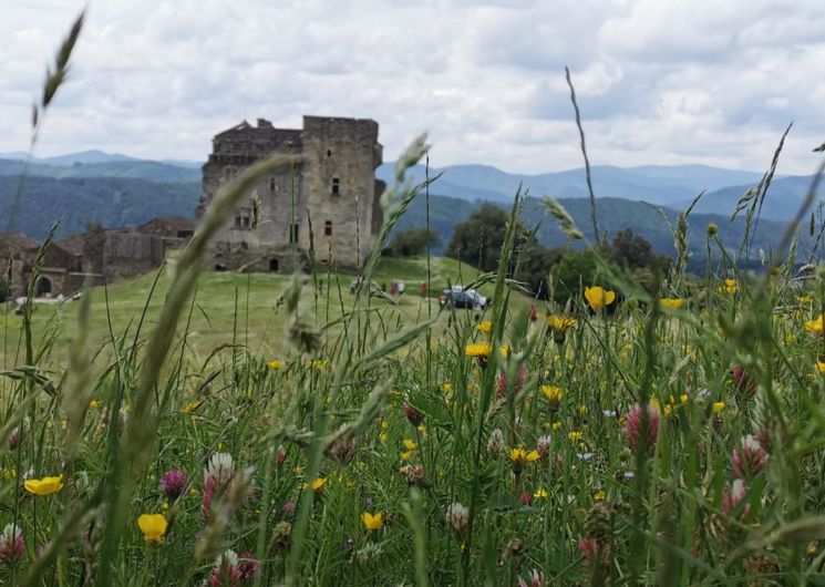 Château d'Aujac-3