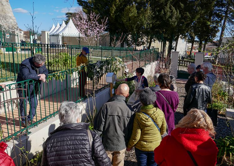 JEP 2026 : Visite du Jardin les Terrasses du Bosquet_Alès
