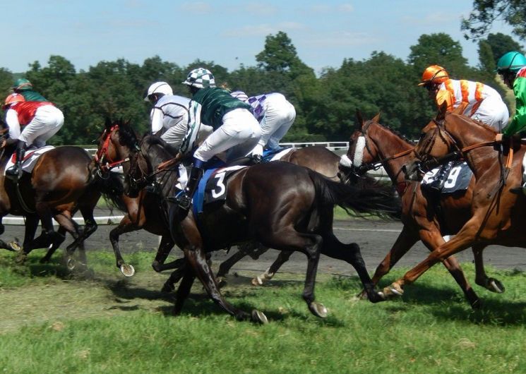 Course de galop