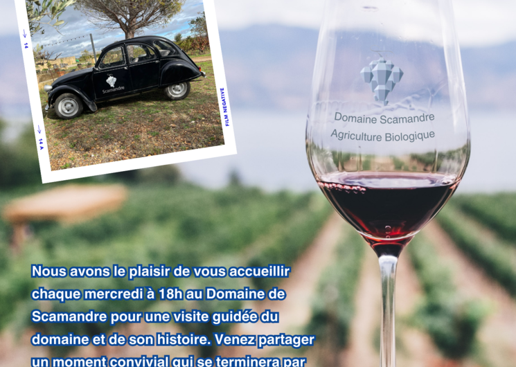 Vignobles Scamandre