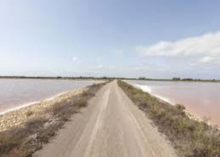 Salin d'Aigues-Mortes