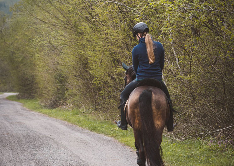 Promenade 2h dans la vaunage - Centre equestre - Saint-Côme-et-Maruéjols