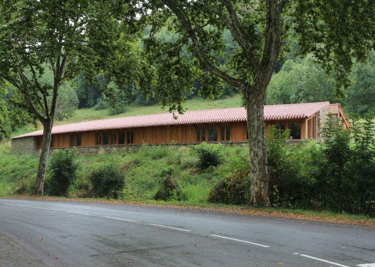 Brame de cerf - sortie nature