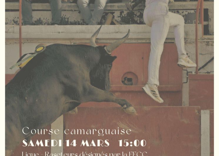 Course camargaise_Remoulins