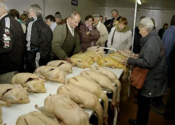 Marché au Gras du vendredi_Seissan