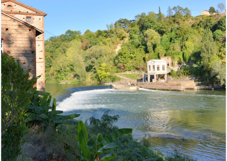 Rives du Tarn à Montans