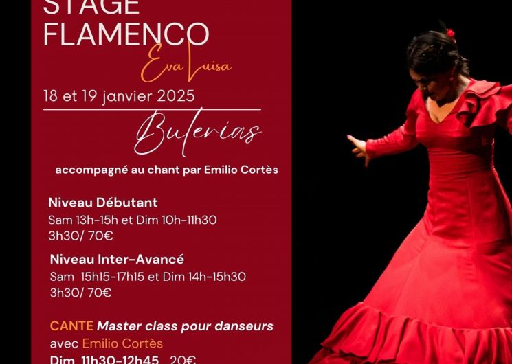 Master class avec Eva Luisa (baile) y Emilio Cortés (cante)_Nîmes