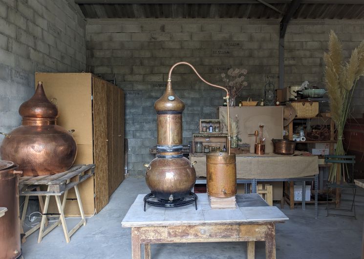 La distillerie Fleur d'Artisane