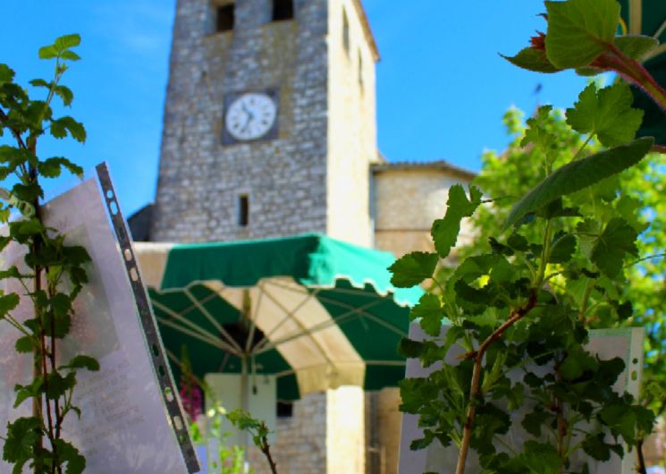 Photo place aux fleurs