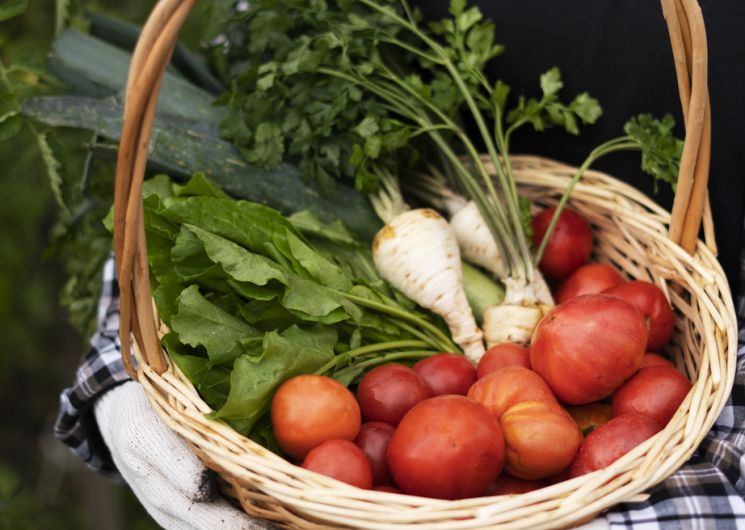 Marché de Sauve_Sauve