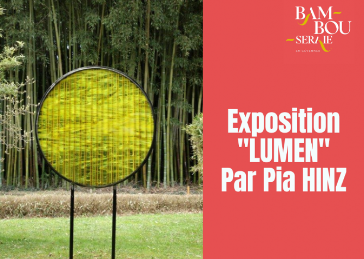 Exposition Lumen par Pia Hinz_Générargues