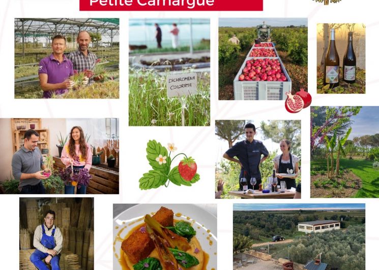 De ferme en ferme en Petite Camargue_Vauvert