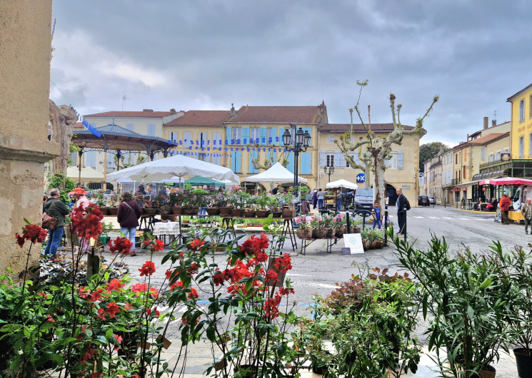 Marché végétal_Mirande