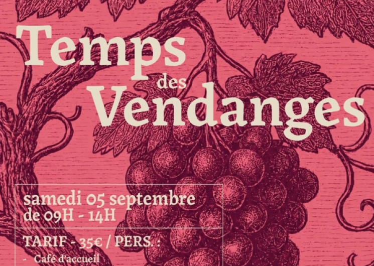 Domaine de Pouypardin : Temps des vendanges_Condom