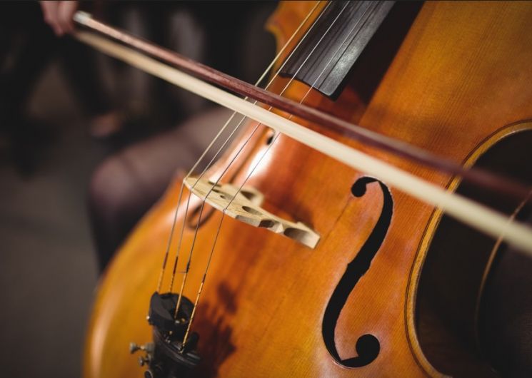 Concert de l'école de musique_Fleurance