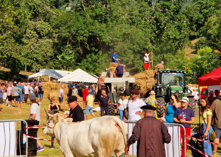 Foire de la Madeleine_Montesquiou