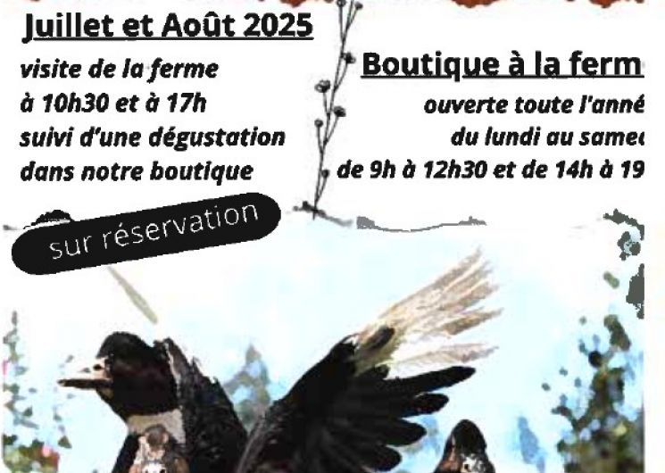Visite à la ferme et dégustation_Saint-Michel