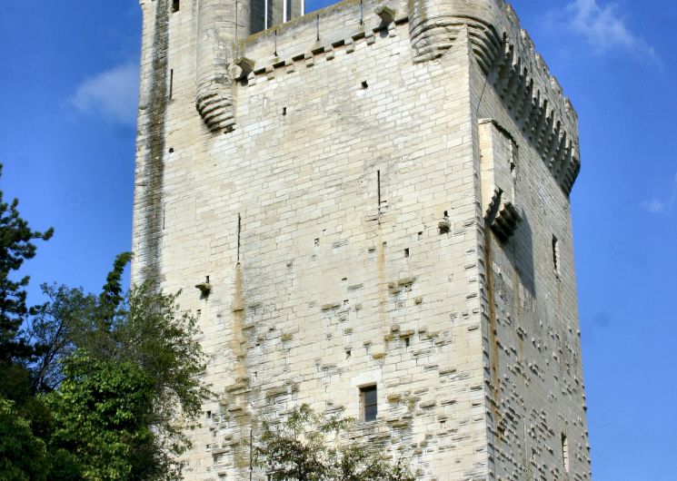 Visite libre de la tour Philippe-le-Bel_Villeneuve-lez-Avignon