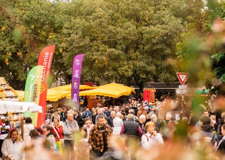 32ème Foire de la Pomme et de l’Oignon doux des cévennes_Le Vigan
