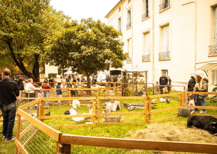 32ème Foire de la Pomme et de l’Oignon doux des cévennes_Le Vigan