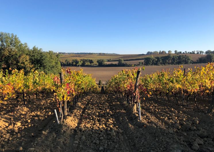 Le Banquet itinérant de Vignobles en Scène à Cestayrols_Cestayrols