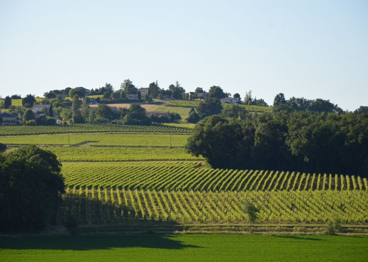 Le Banquet itinérant de Vignobles en Scène à Cestayrols_Cestayrols