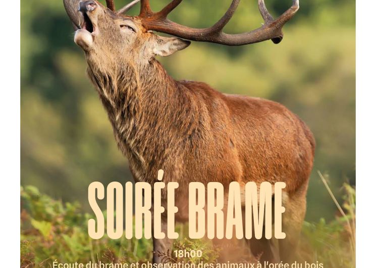 Soirée Brame du cerf et dégustation de vins_Larroque