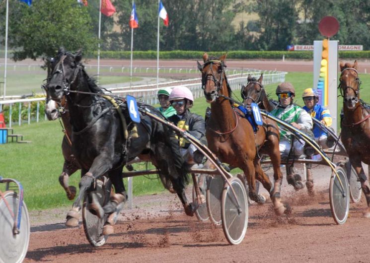 Courses hippiques - 11h45_Beaumont-de-Lomagne