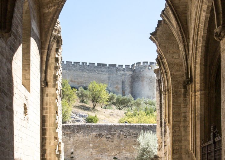 À la découverte de la Chartreuse_Villeneuve-lez-Avignon
