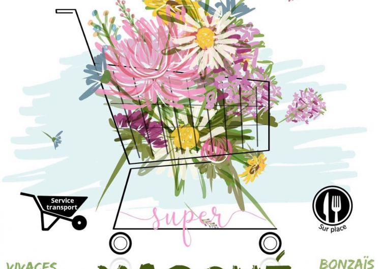 Marché aux fleurs_Simorre