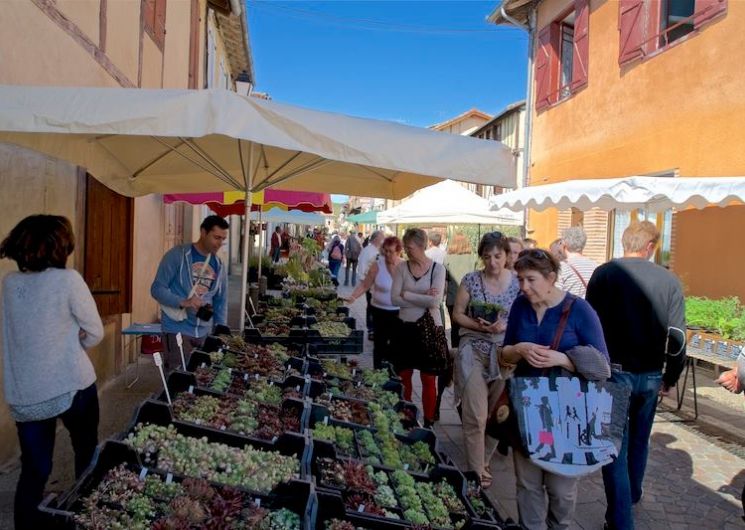 Marché aux fleurs_Simorre