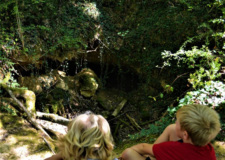 Visite-découverte : Bois d'Auch_Auch