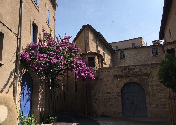 Pézenas, un Trésor d'Architecture