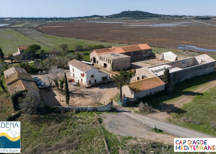 Visite du Grand Clavelet_Agde