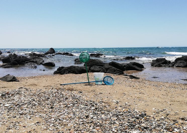 Les pieds dans la mer_Le Cap d'Agde