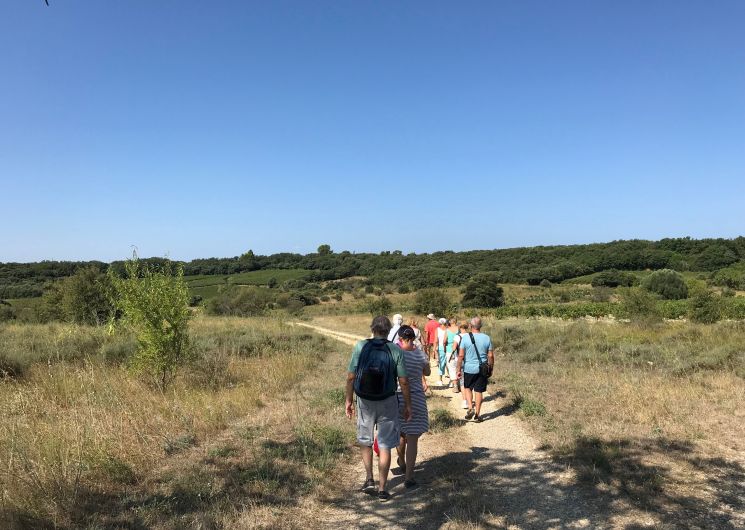 Visite Guidée de Nizas et du Sentier de Sainte-Perpétue