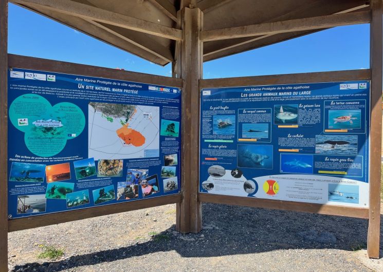 visite guidée : Le Cap d'Agde Entre Terre et Mer_Le Cap d'Agde