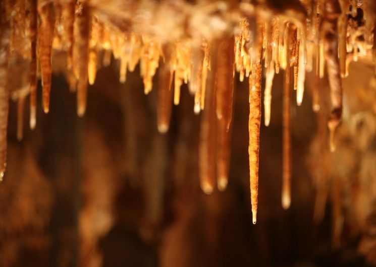 Journées Européennes du Patrimoine à la Grotte du Bosc_Saint-Antonin-Noble-Val